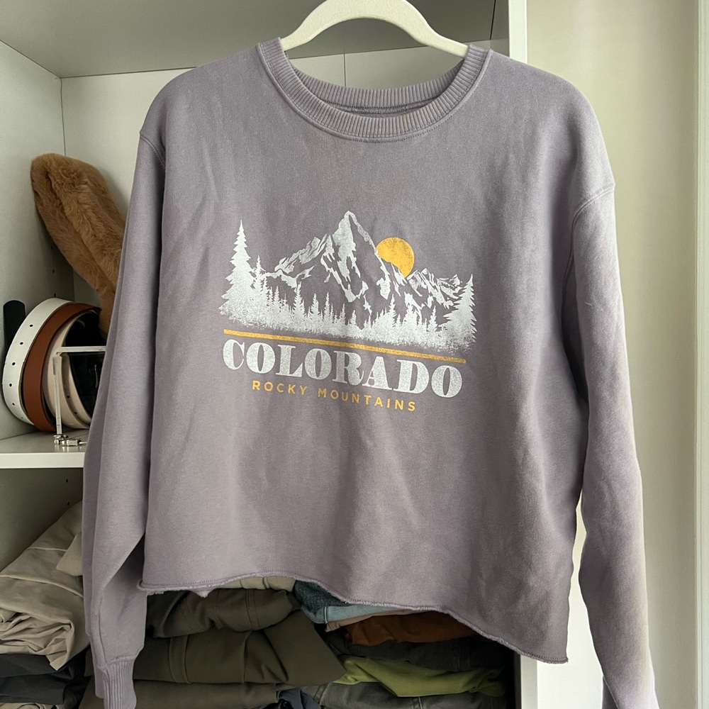 Hollister Women's Cropped Sweatshirt Small Purple Colorado Rocky Mountains